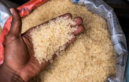 الجفاف يحلّق بأسعار الأرز ويقوض استدامة الإمدادات العالمية