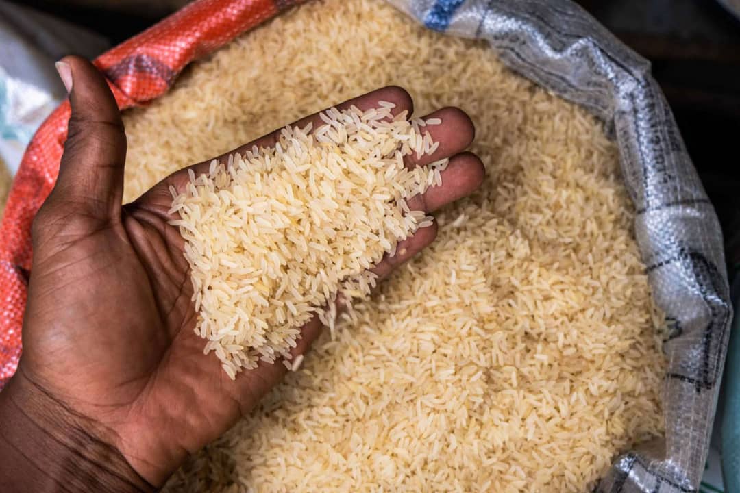 الجفاف يحلّق بأسعار الأرز ويقوض استدامة الإمدادات العالمية