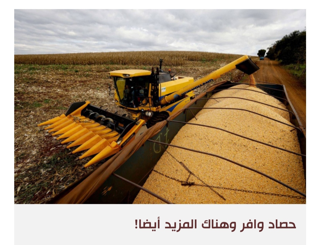 البرازيل تنهي عقودا من هيمنة الأميركيين على تجارة الذرة