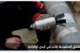 أميرة ويلز 