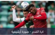 ارتجاج وخرف وصرع.. ضربات الرأس 
