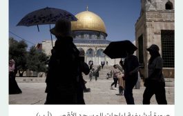 5 بقرات حُمر في إسرائيل تنذر بحرب دينية