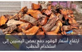 الاحتطاب الجائر في اليمن.. آثار بيئية هائلة فاقمتها حرب الحوثي