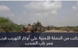 قطع أوكار تهريب الحوثي.. حملة أمنية تؤمن سواحل باب المندب