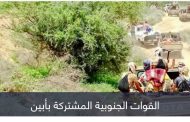 أبين تواصل طرد فلول 