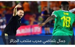 بأوامر جمال بلماضي.. 3 خطوات تُعيد أمجاد منتخب الجزائر