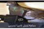 الجاسوسة ماتا هاري.. 