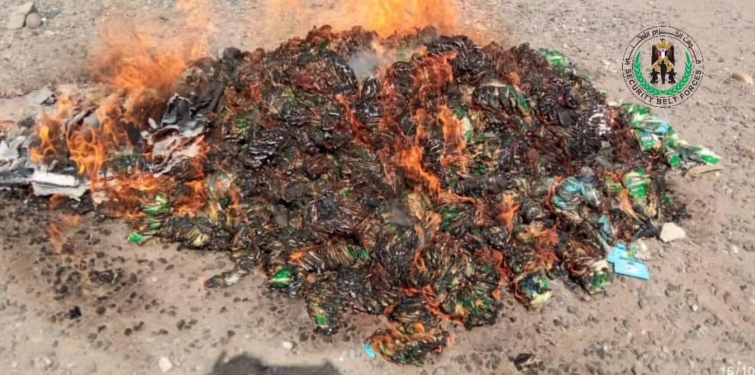 حزام لحج يتلف كمية كبيرة من شمة الحوت المهرب