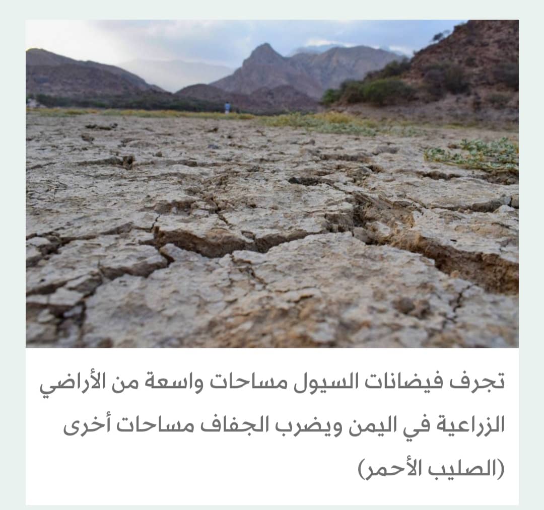 التغير المناخي يربك المزارعين اليمنيين ويهدر مواسم المحاصيل
