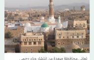 «حمى الضنك» تفتك باليمنيين في معقل الحوثيين الرئيسي