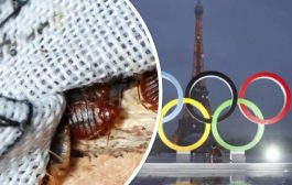 القمل وحشرات الفراش.. أزمة فرنسية تهدد أولمبياد باريس 2024