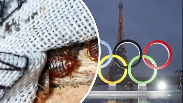 القمل وحشرات الفراش.. أزمة فرنسية تهدد أولمبياد باريس 2024