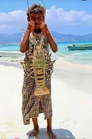 وزارة الزراعة والثروة السمكية تصدر قرار بفتح موسم اصطياد الشروخ الصخري في المياه اليمنية