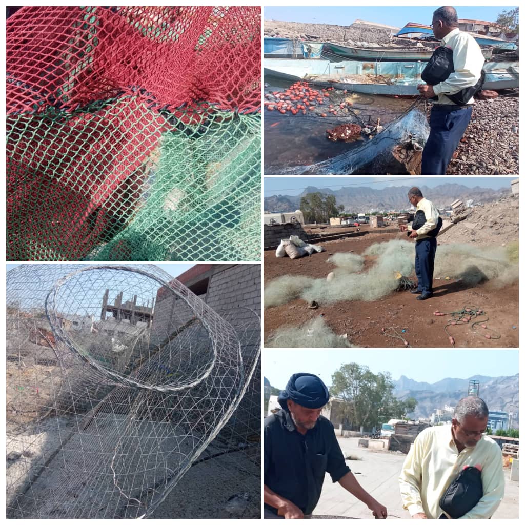 هيئة مصائد خليج عدن تدشن حملة لمكافحة الإصطياد العشوائي في مديرية صيرة