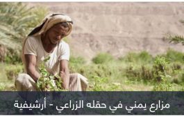 حرب جائرة.. تبعات الحوثي تلاحق غذاء مزارعي اليمن
