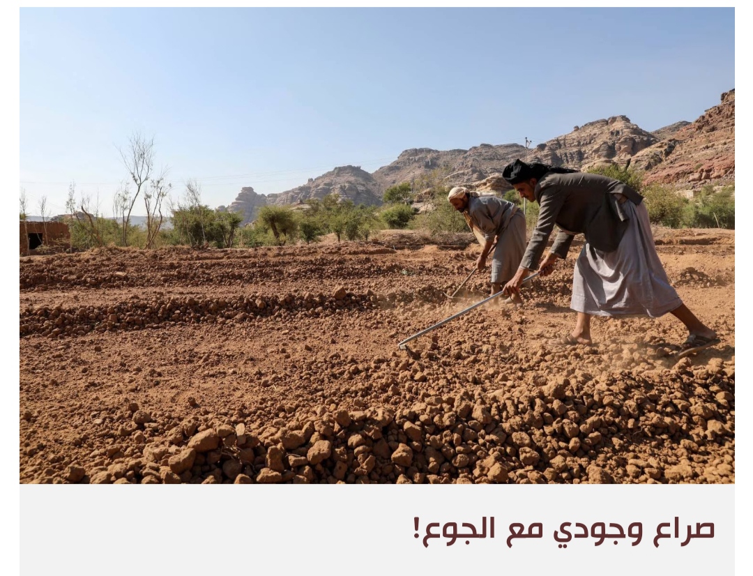 فاو تقود مبادرة طموحة لتحسين النظام الزراعي في اليمن