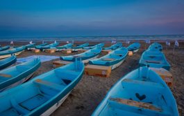 منظمة بيور هاندز تدشن توزيع قوارب صيد مع المحركات في محافظة أبين