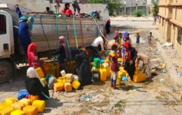منظمة 