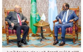 مصر تتخلى عن هدوئها مع إثيوبيا بسبب الصومال
