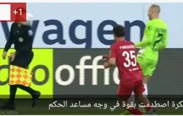 يحدث في الدوري الألماني.. مشجع يتحول إلى حكم