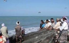 العثور على جثث 8 صيادين يمنيين قتلوا في البحر الأحمر  