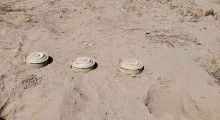 اكتشاف حقل ألغام حوثية شديدة الخطورة في مديرية حيس