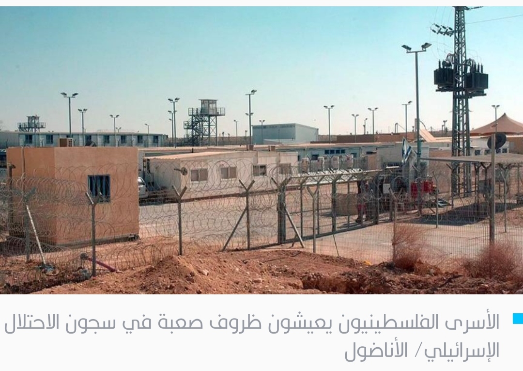 اكتظاظ وروائح كريهة وحشرات داخل السجون.. تقرير إسرائيلي يفضح جرائم الاحتلال بحق الأسرى الفلسطينيين