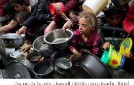 شمال غزة يجوع.. طعام الحيوانات يصبح غذاء للغزيين