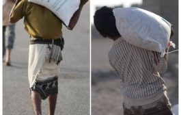 مركز الملك سلمان للإغاثة يوزع 1.506 أكياس من الأرز في مديرية المضاربة بمحافظة لحج