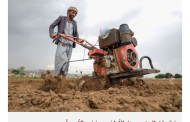 الزراعة في اليمن تعاني من الحرب وتغير المناخ والإقطاع