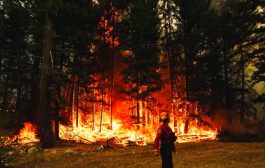 كندا تواجه خطر موجة أخرى من حرائق الغابات المدمرة