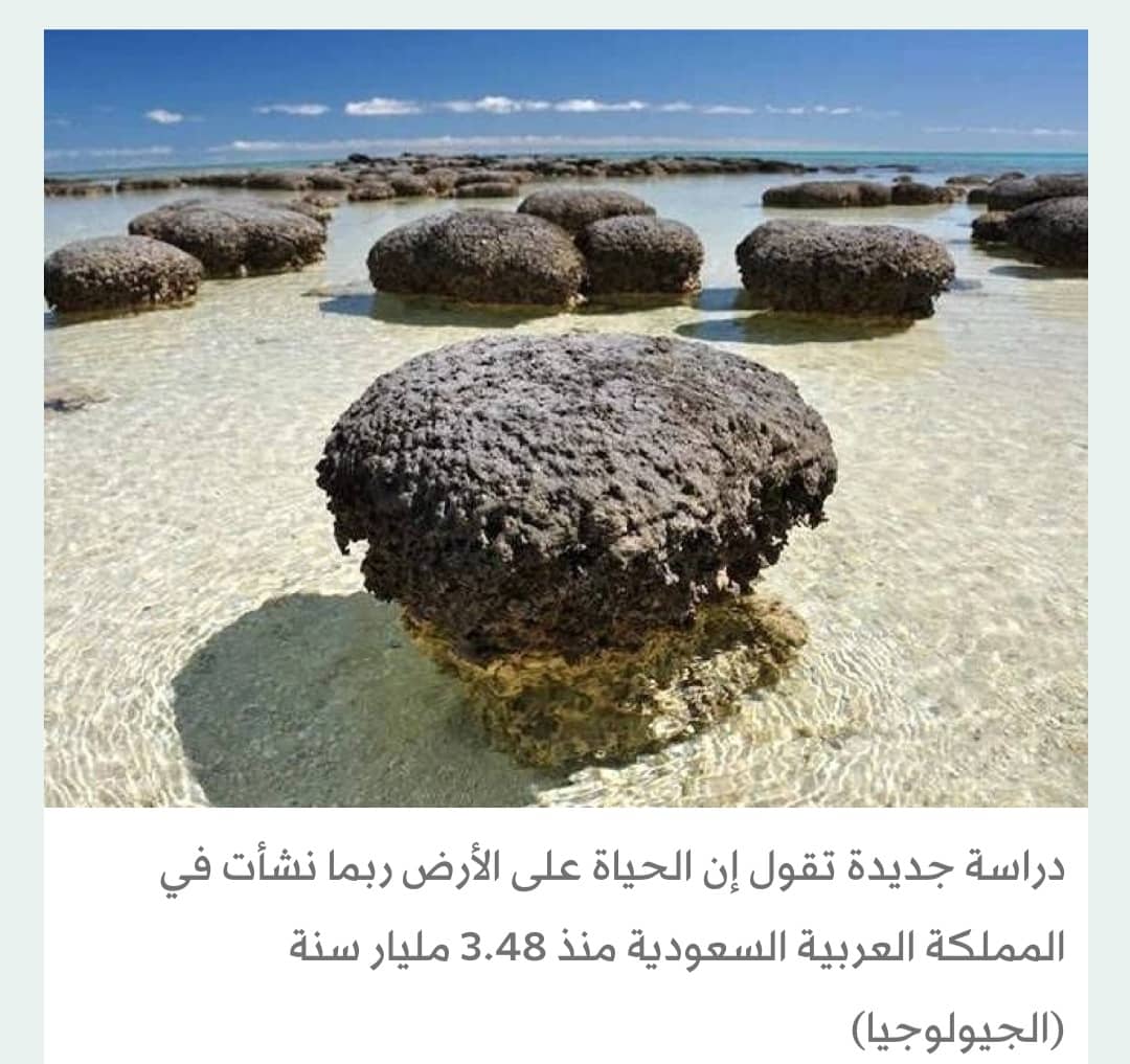 دراسة: الحياة على الأرض ربما نشأت في السعودية قبل 3.48 مليار سنة