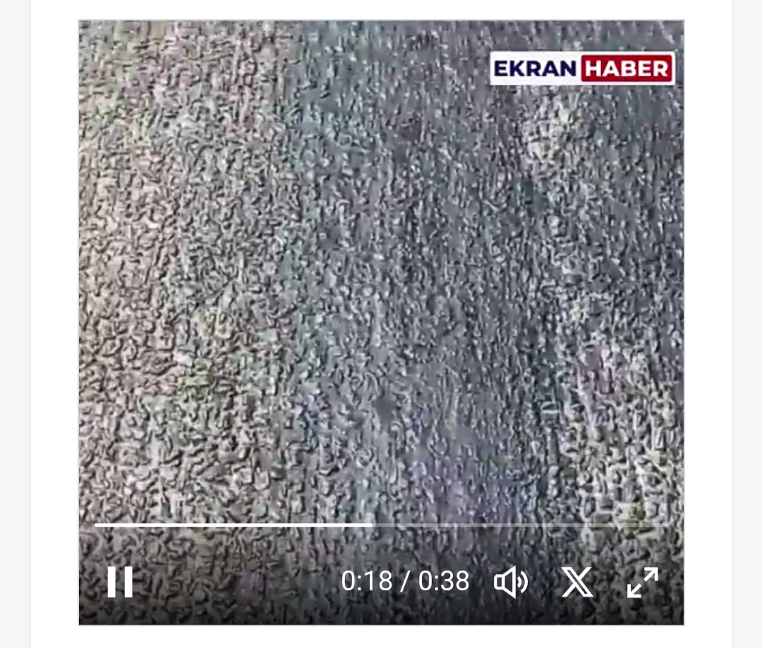 الحرارة العالية تذيب الأسفلت في بعض المناطق التركية (فيديو)