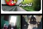 حجر حضرموت على موعد مع سوق خريف 2024م