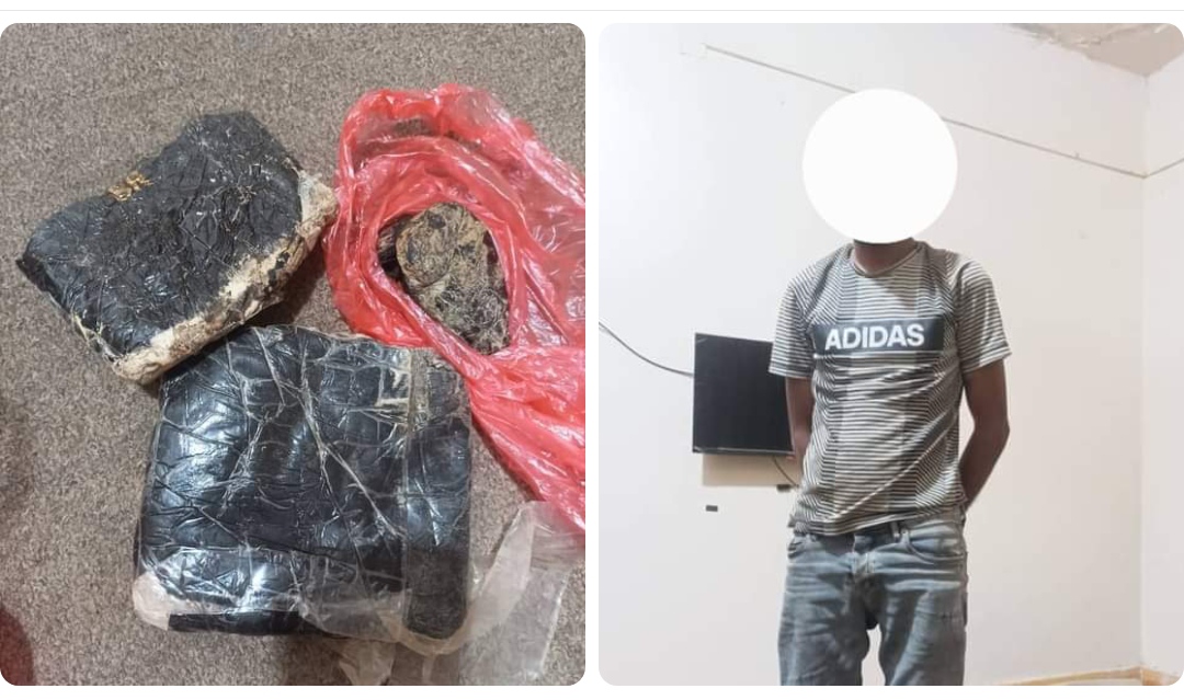 نقطة الدمخ تضبط شخصاً يقوم بنقل المواد المخدرة بين المهرة والمحافظات