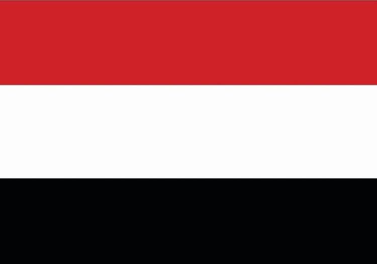 اليمن يثمن جهود دولتين في استعادة 14 قطعة أثرية يمنية