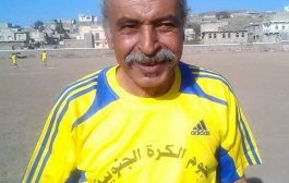 فاكهة الكرة الضالعية