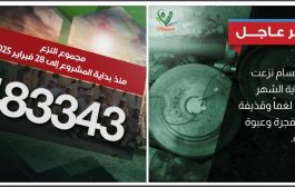 مسام يعلن نزع 2,817 لغماً وذخيرة وعبوة ناسفة خلال شهر فبراير