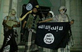 قصف جوي مقتل عنصر جديد لـ 