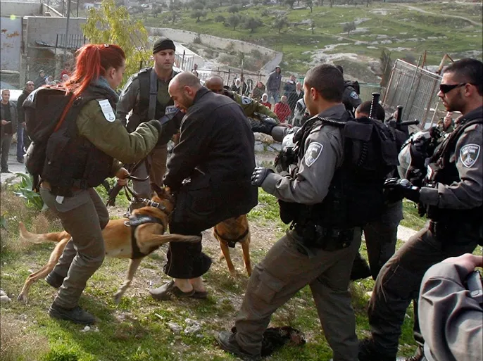 هولندا تصدّر كلابا مدربة إلى إسرائيل تستخدم في تعذيب الفلسطينيين