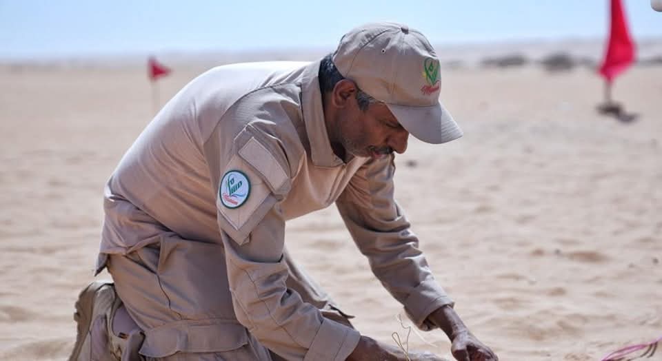 مشروع 