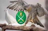 مفاهيم حول الإخوان.. وهم الصقور والحمائم