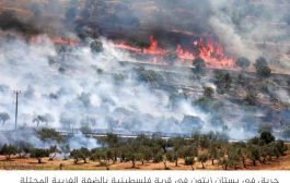 هآرتس: أهل الضفة الغربية يذبحون بهدوء