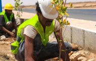 بدء أعمال التشجير لعدد من الشوارع الرئيسية بمدينة عتق