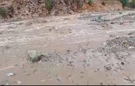 الضالع سيول متدفقة تروي 