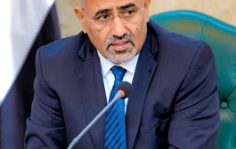 الزبيدي يدعو لجنة الموارد للانتقال من مرحلة المعالجات الطارئة إلى مرحلة التخطيط الاستراتيجي