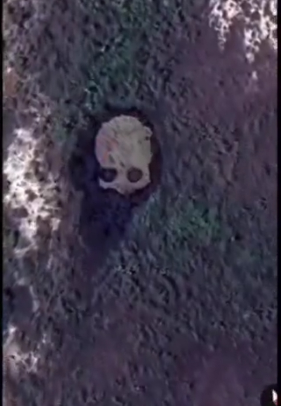 بالفيديو .. 