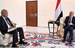 العليمي : نُغطي 40% فقط من الموازنة وما تبقى يُقدَّم لنا من السعودية والامارات