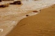 تعرف على وادي قهل بلحج .. المنبع والمصب 