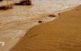 تعرف على وادي قهل بلحج .. المنبع والمصب 